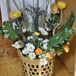 Апартаменти Lieblingsplatz