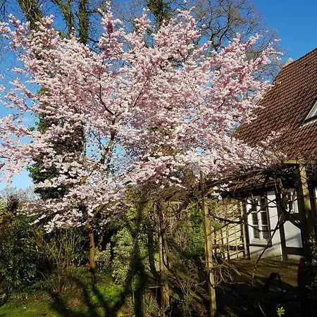 Lieblingsplatz * Brema