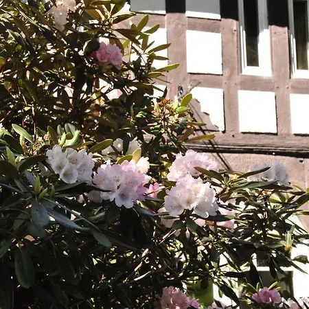 Appartement Lieblingsplatz