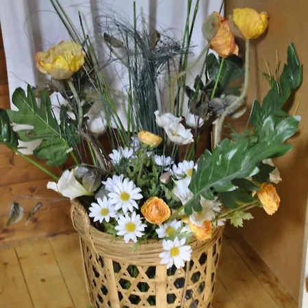 Appartement Lieblingsplatz