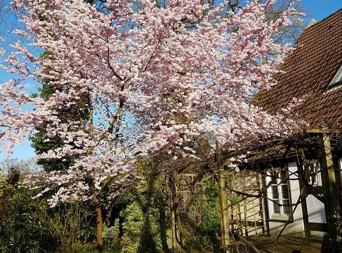 Lieblingsplatz * ブレーメン