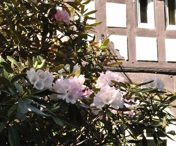 Διαμέρισμα Lieblingsplatz